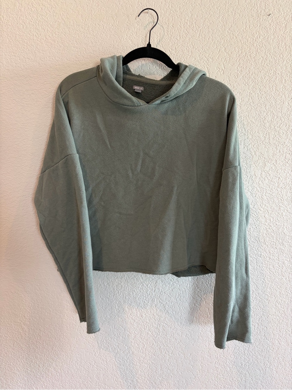 Aerie Sage Green Cropped Raw Hem Hoodie Size L